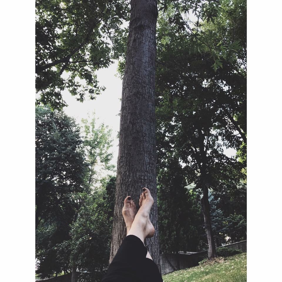 Kendi Bahçenizin Ağacı Olun