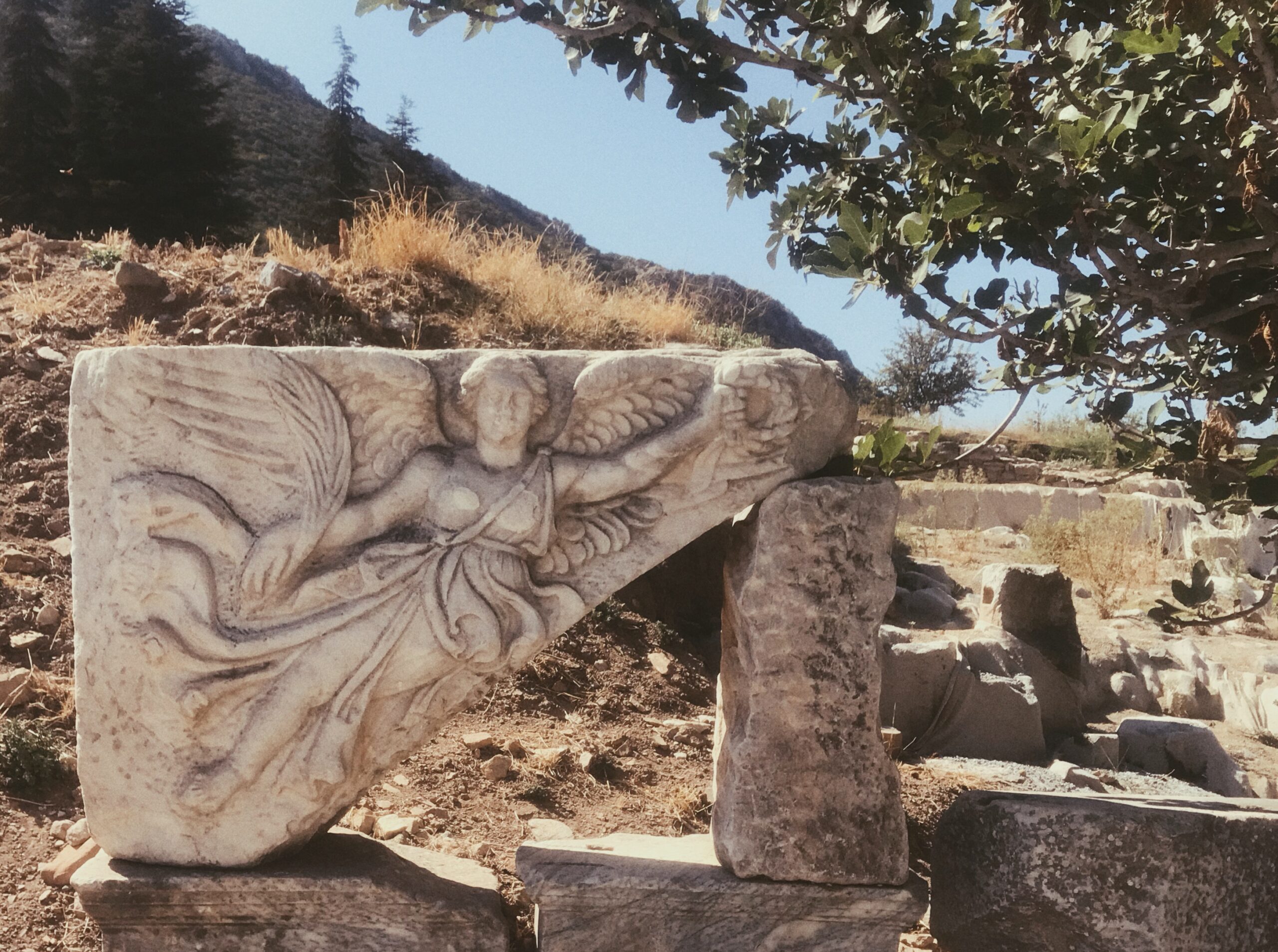 Ben Burayı Gül Bahçesi Yapmak İstiyor Muyum?