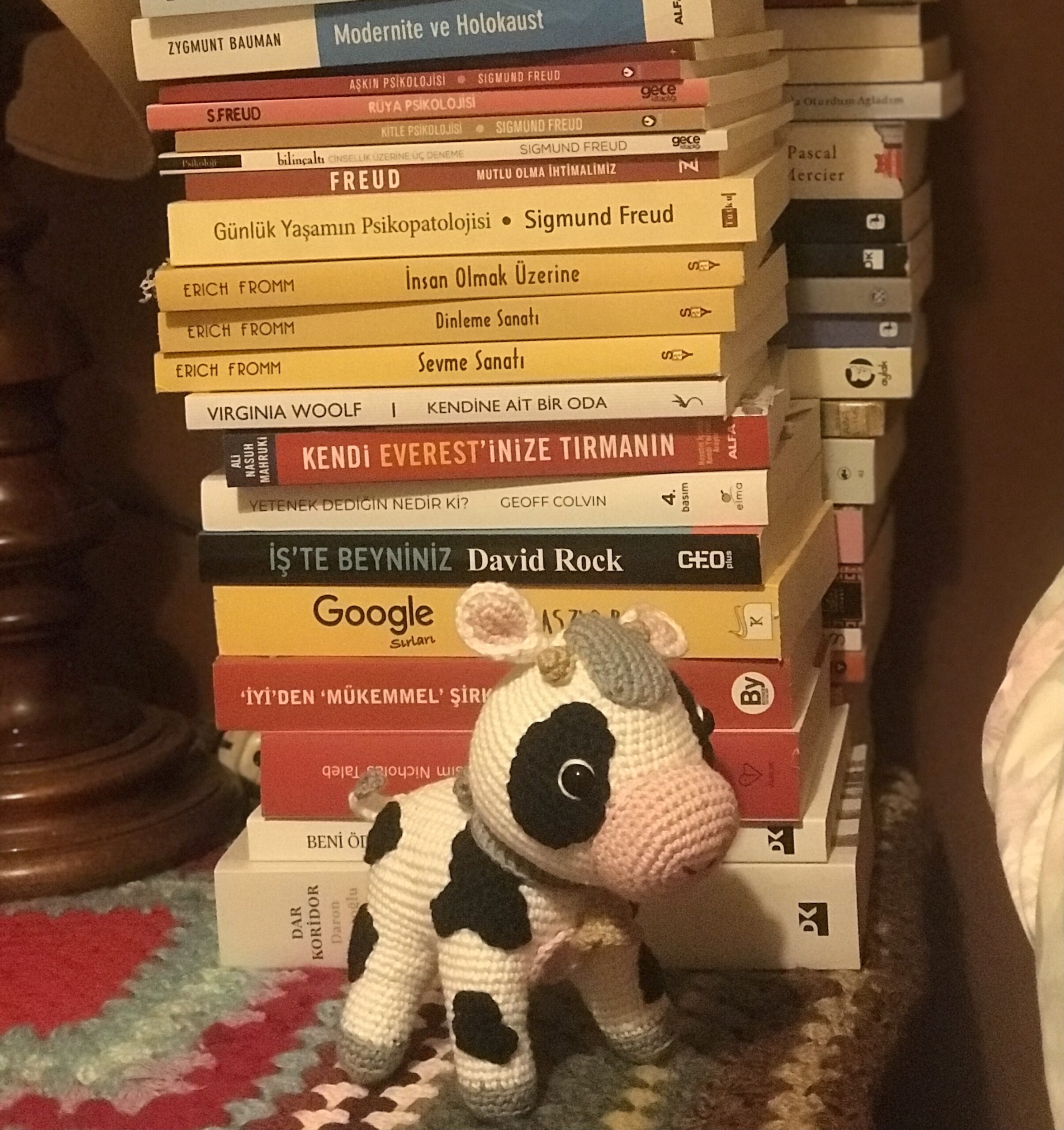 Oyuncak Buzağının Hayali